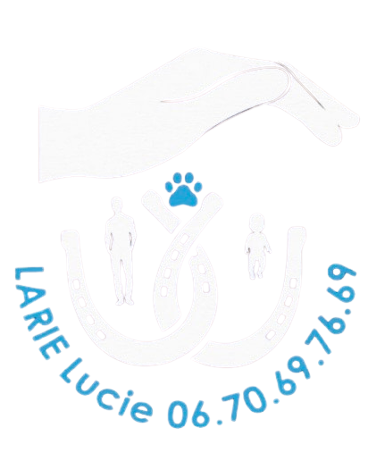 Accueil